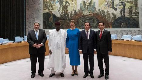 ONU: Saint-Vincent-et-les-Grenadines au Conseil de sécurité en 2020  | Revue Politique Guadeloupe | Scoop.it