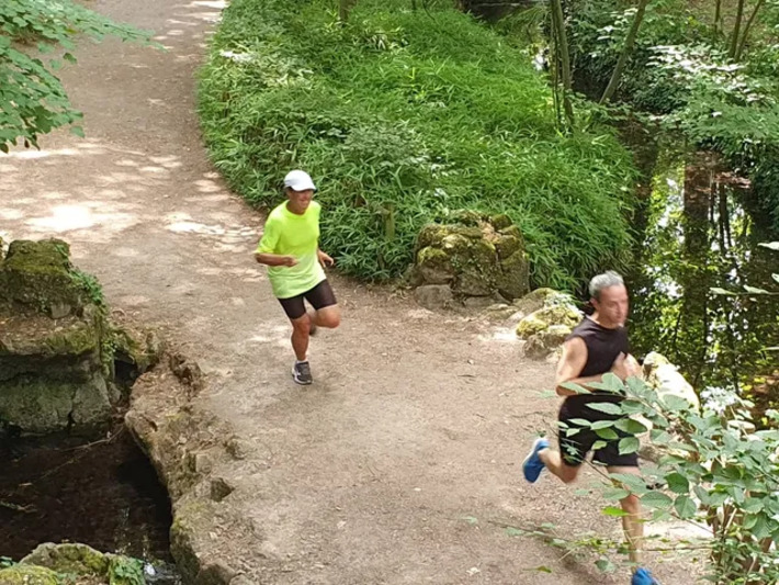 Le parc de l’Orangerie de Strasbourg parmi les meilleurs endroits de France pour courir | Thématique Itinérance douce | Scoop.it