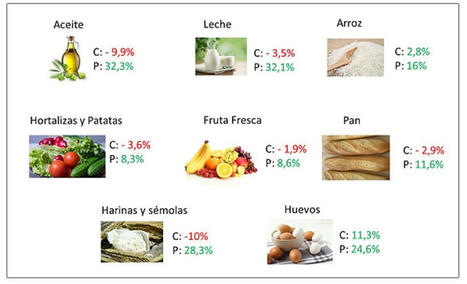 ¿Se trasladó la rebaja del IVA de los alimentos básicos a sus precios? – Nada es Gratis | Evaluación de Políticas Públicas - Actualidad y noticias | Scoop.it