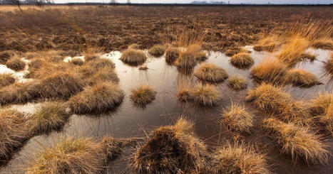 Zo ontstonden de Lage Landen | Kathedralenbouwers | Scoop.it