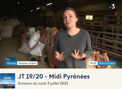 Valorisation de la laine locale au JT 19/20 - Midi Pyrénées du 3 juillet | Vallées d'Aure & Louron - Pyrénées | Scoop.it