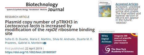 Increasing Plasmid Copy Number in Lactococcus lactis | iBB | Scoop.it