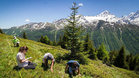 Devenez un citoyen scientifique afin d'étudier les changements climatiques | Vallées d'Aure & Louron - Pyrénées | Scoop.it