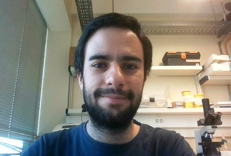 Hélvio Simões Joins CBM-X Team as Junior Researcher | iBB | Scoop.it