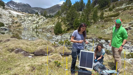 Au cœur du Néouvielle, l’activité des chauves-souris, révélateur de la biomasse et du changement climatique, étudiée en altitude | Vallées d'Aure & Louron - Pyrénées | Scoop.it