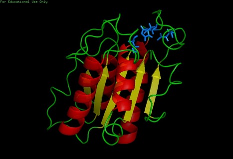 Enzymatic Synthesis of Alkyl Esters in Miniemulsions | iBB | Scoop.it