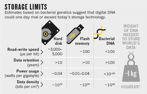 How DNA could store all the world’s data | Natural Products Chemistry Breaking News | Scoop.it