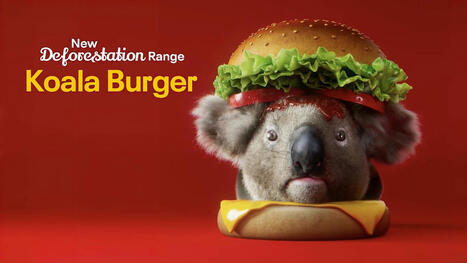 Greenpeace tacle McDo sur la déforestation en lançant un Koala Burger | Biodiversité - @ZEHUB on Twitter | Scoop.it