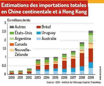 Les importations chinoises de viande bovine ont progressé de 36 % en 2019 | Actualité Bétail | Scoop.it