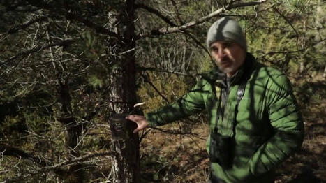 Cévennes : comment les gardiens du parc veillent à la protection des animaux | Cévennes Infos Tourisme | Scoop.it