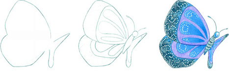 How to Draw a Butterfly | Drawing and Painting Tutorials | Scoop.it