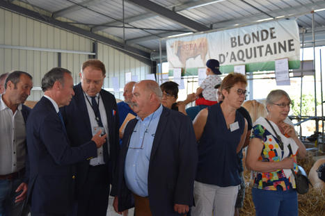 Châteaubriant : le nouvel espace élevage inauguré à la Foire de Béré | Actualité Bétail | Scoop.it