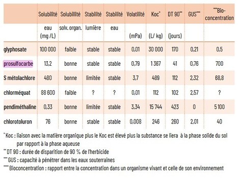 Herbicides et insectes pollinisateurs | EntomoNews | Scoop.it